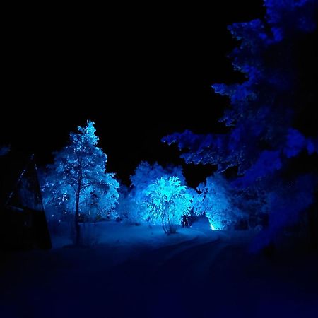 Muotkan Ruoktu Tunturikyla Inari Dış mekan fotoğraf