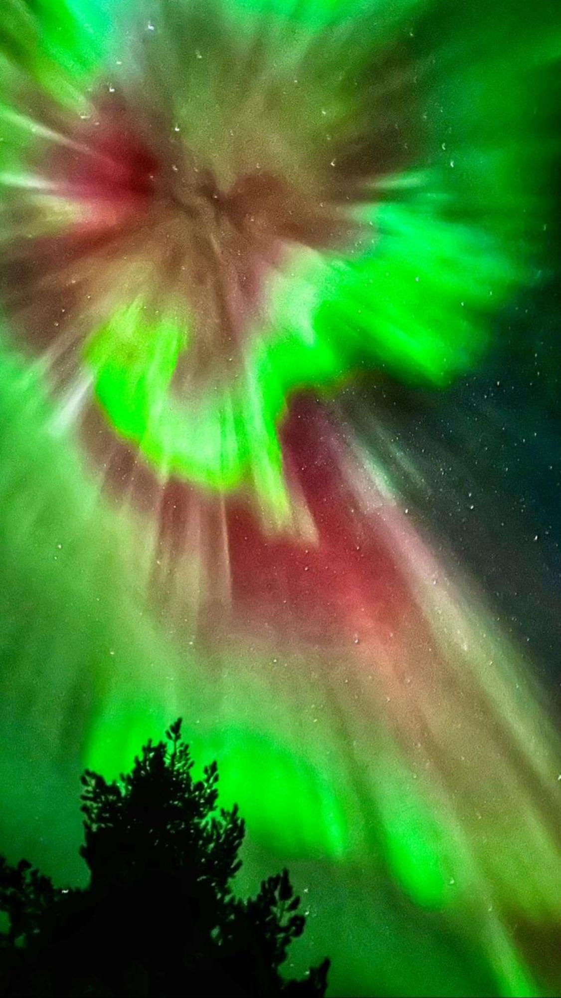 Muotkan Ruoktu Tunturikyla Inari Dış mekan fotoğraf