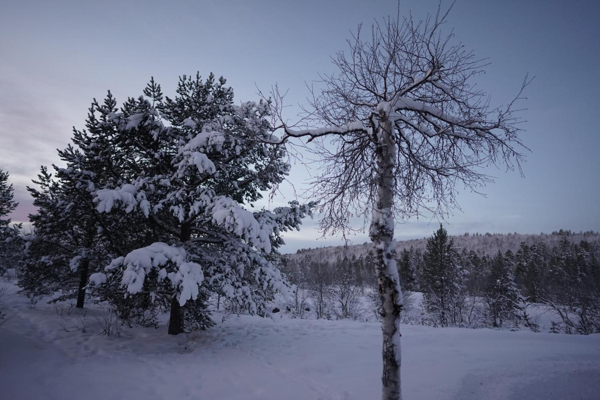 Muotkan Ruoktu Tunturikyla Inari Dış mekan fotoğraf
