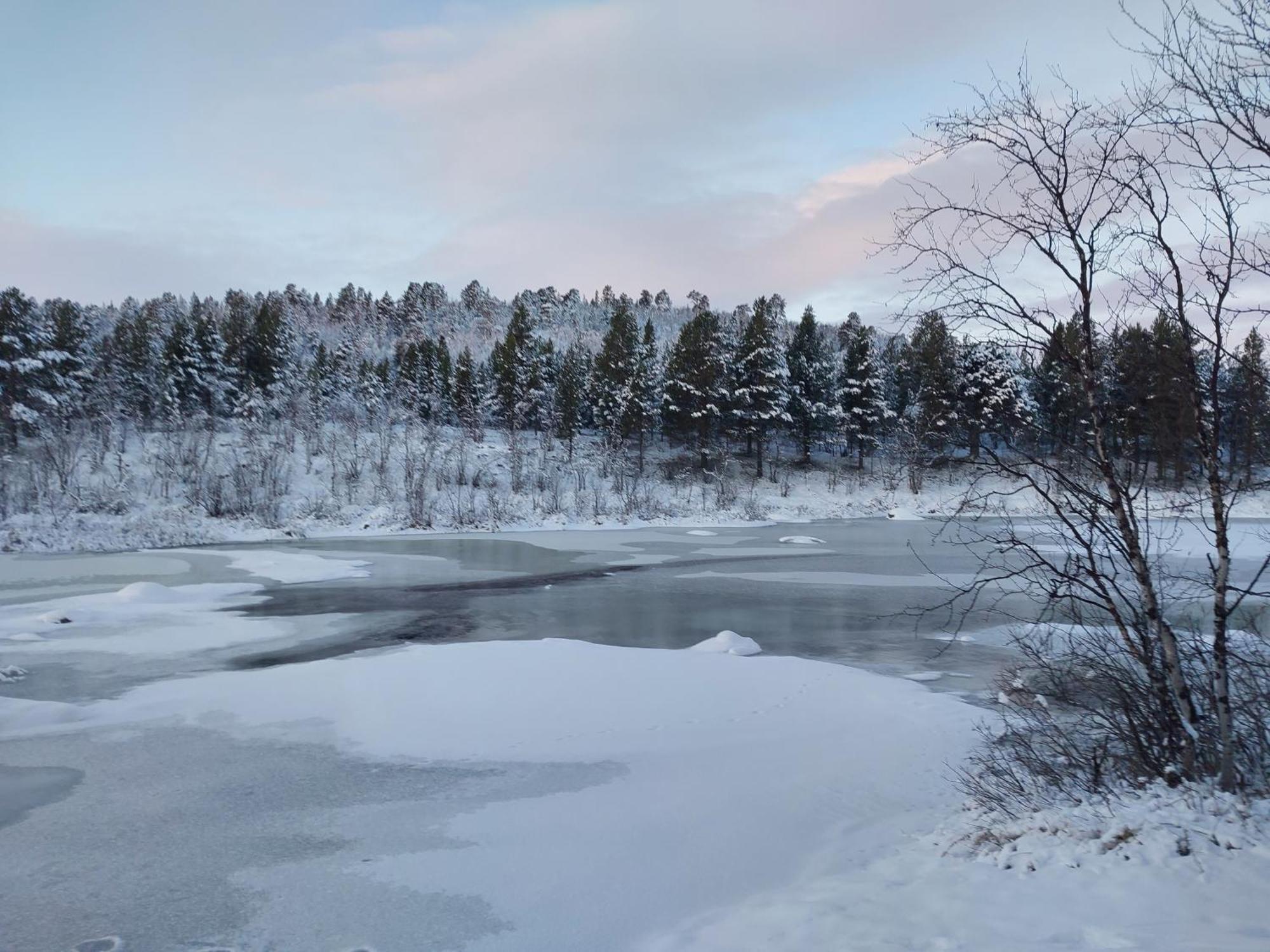 Muotkan Ruoktu Tunturikyla Inari Dış mekan fotoğraf